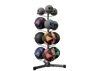 Wall Ball Rack W/ Mix of Med and Wall Balls (GWBR loaded with mix of PWB and GMBG2)