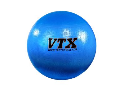 VTX Stability Ball (55cm)