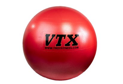 Stability Ball - 65