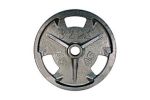 2.5 lb Olympic Plate (Does Not Have Grips)